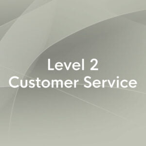 Level 2 customer service